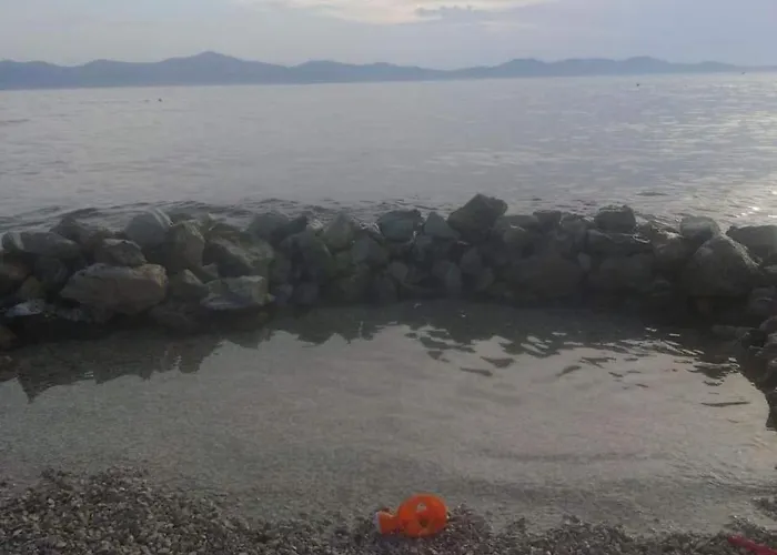 شقة Milka زادار